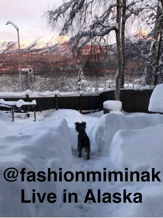 Other - @fashionmiminak Live Listing Notification